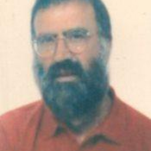 Daniel Pereira Da Silva 